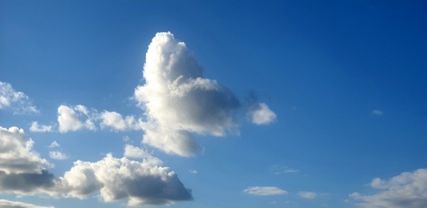 aa2b1402cca17d37ec8175df53a17fb8_1572860339_05.jpg